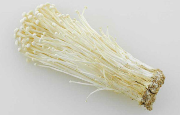 Enoki 金针菇