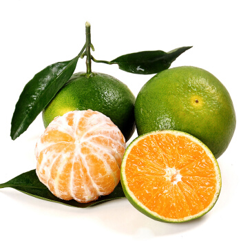 Mandarina Verde 青桔