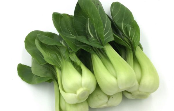 Pak Choi de Shangái 上海青