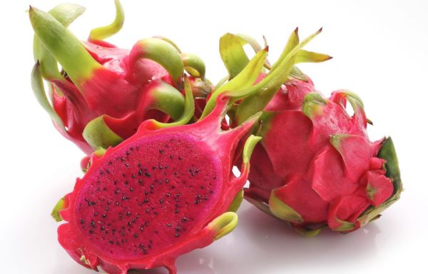 Pitaya 火龙果