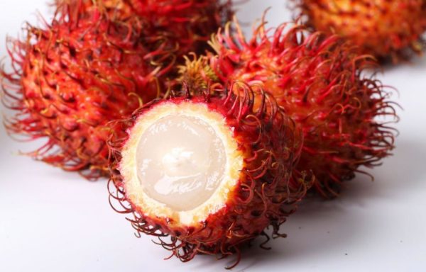 Rambután 红毛丹